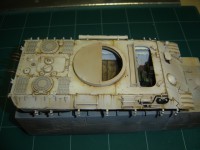 /album/bergerpanther-a/a17-jpg/