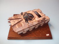 /album/bergerpanther-a/dsc01103-jpg/